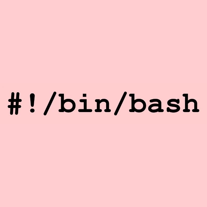 Shell bash / bourne-again sous Linux et Unix
