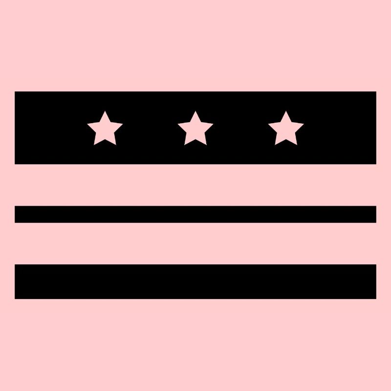 Drapeau de Washington
