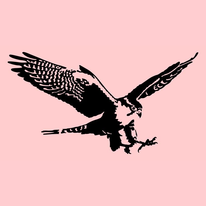 falcon