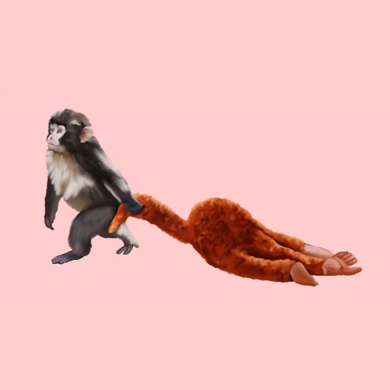 Punch - das kleine Äffchen