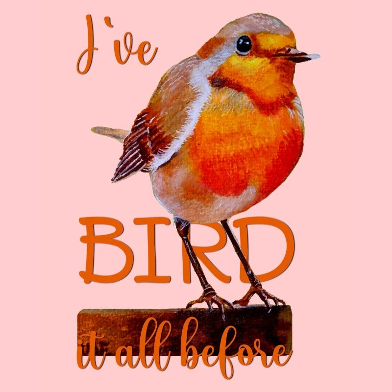 Robin cute bird Bird it all before