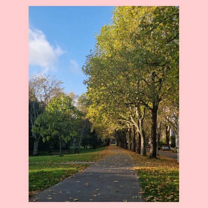 Autumn path through Lauballee