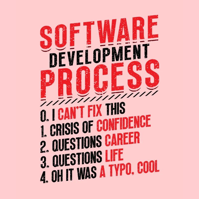 Software development process, programming