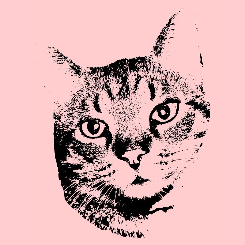 Chat Chat Chat Chat Chemise Cadeau