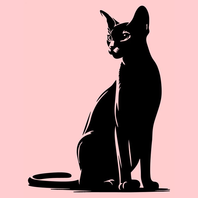 Abessiner Katze