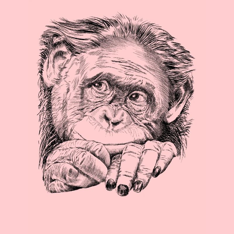 Affe