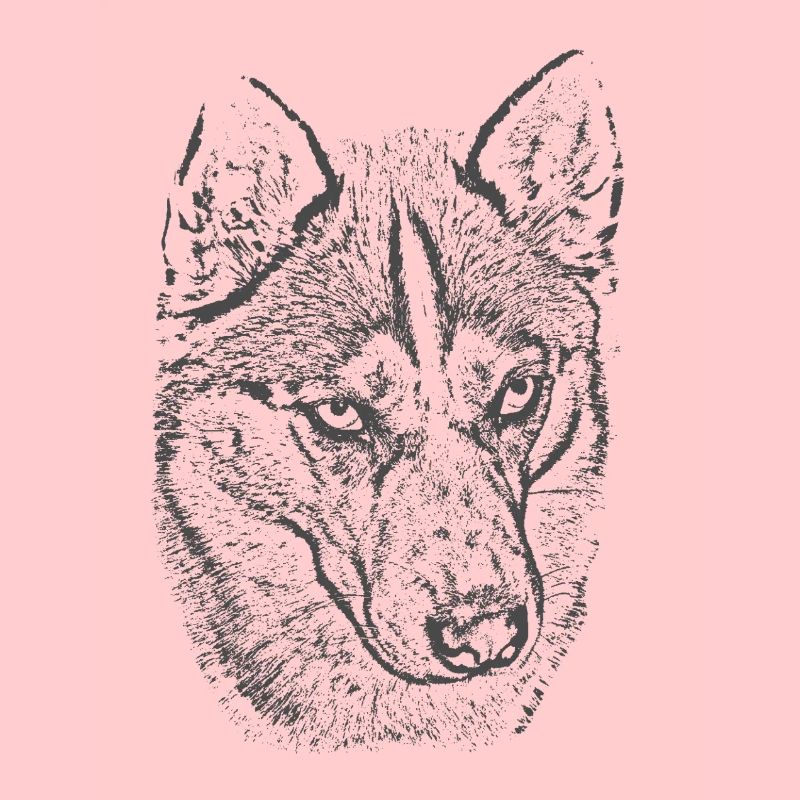 Wolfsblick Graustufen Illustration