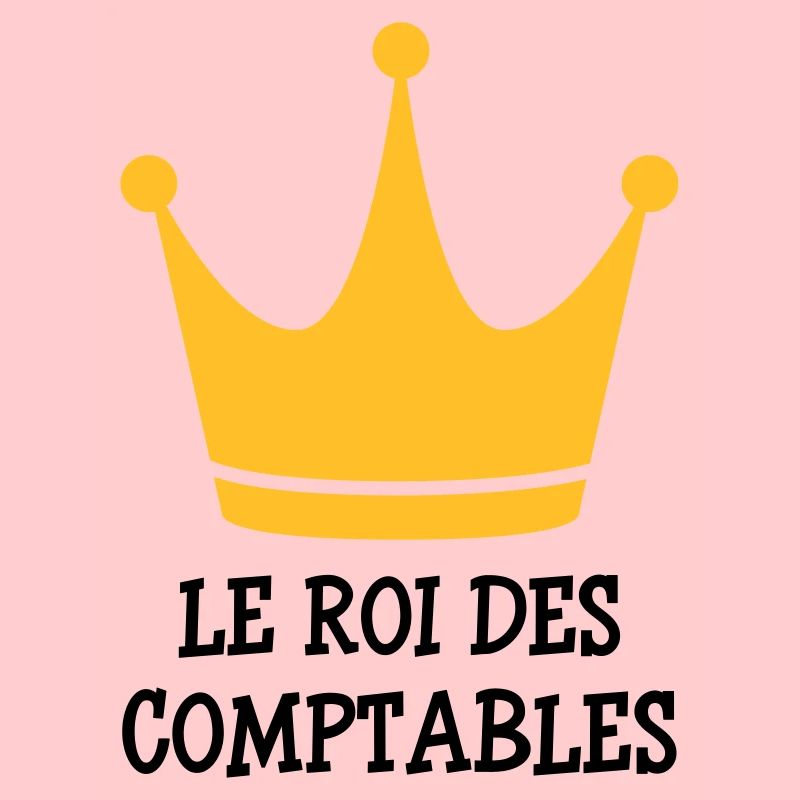 comptable / comptabilité / argent / Finance / Euro