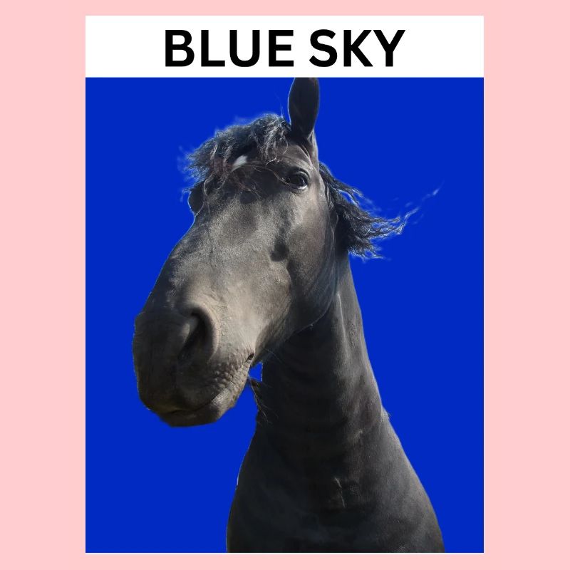 Blauer Himmel und Pferd