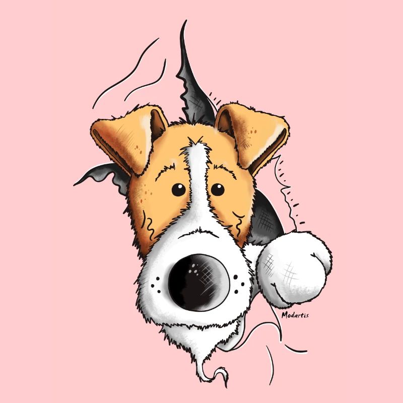 Finn der Foxterrier