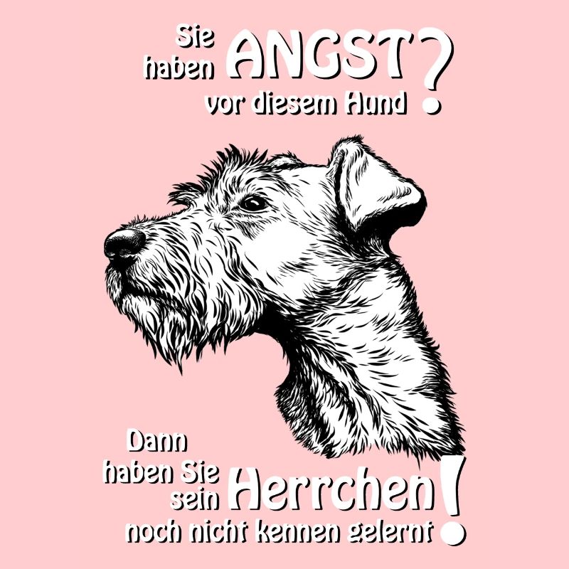 Angst vor IrishTerrier? Herrchen
