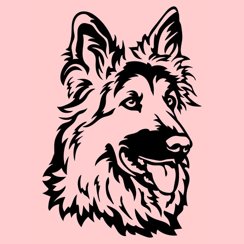 Deutscher Schäferhund Kopf