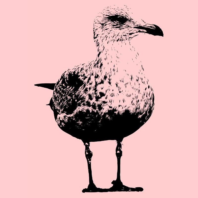Möwe