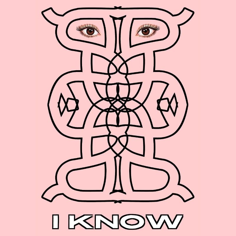I Know - Abstract Symbolic Observer