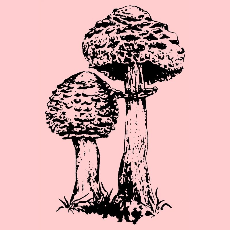 ACCUMULATEUR CHAMPIGNON