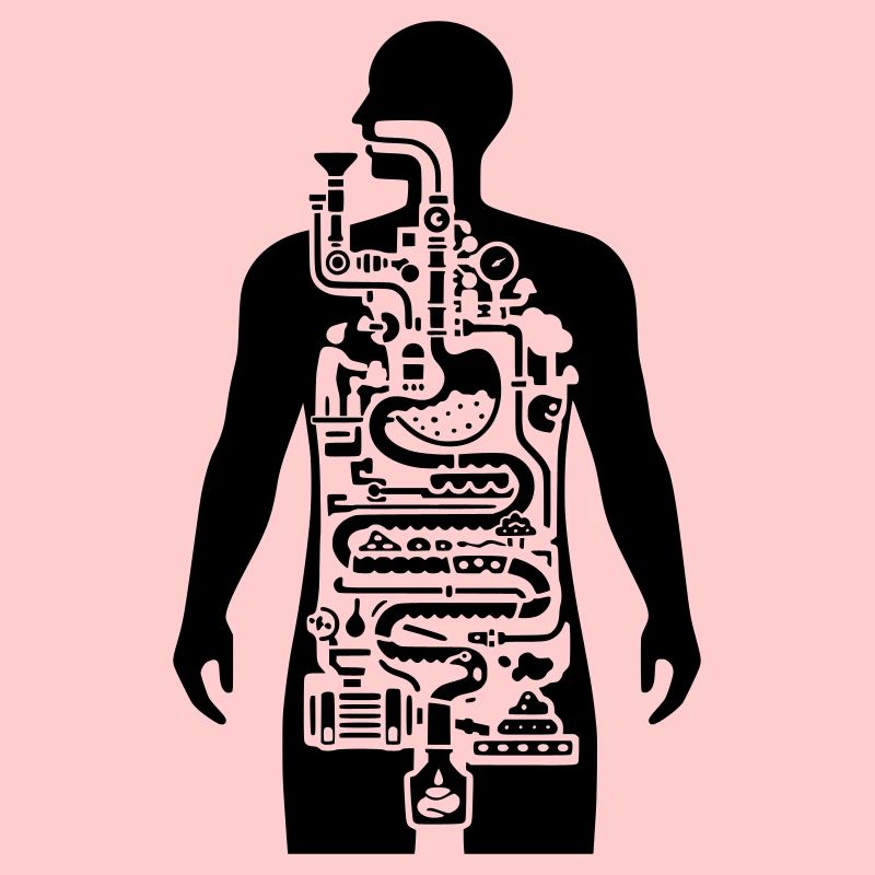 Digestion Mechanical Nutrition
