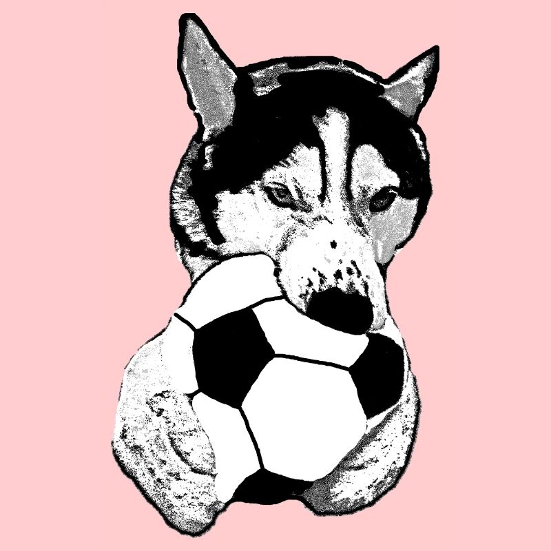 Husky mit Ball