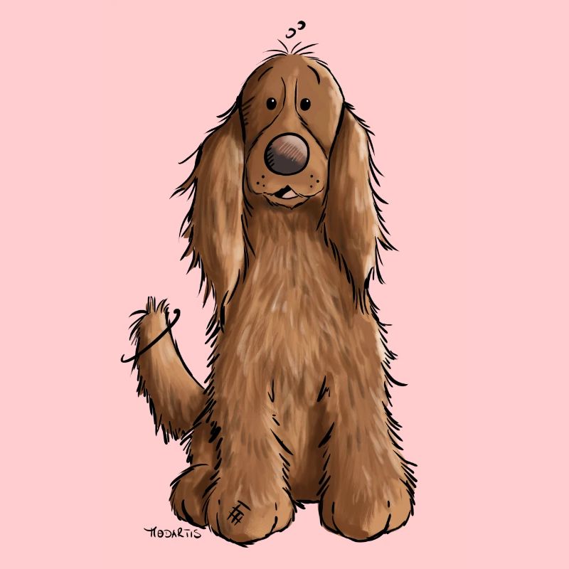 Cocker Spaniel mach Sitz