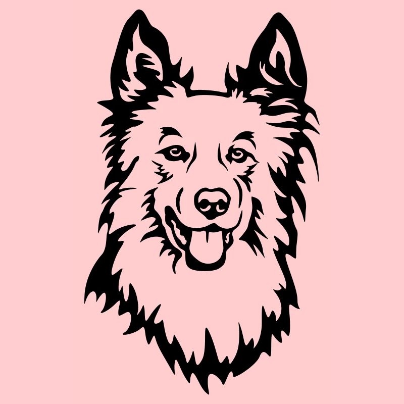Harzer Fuchs Kopf