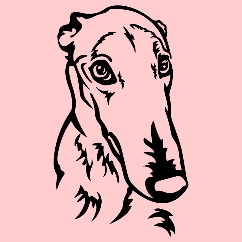Tête de lévrier