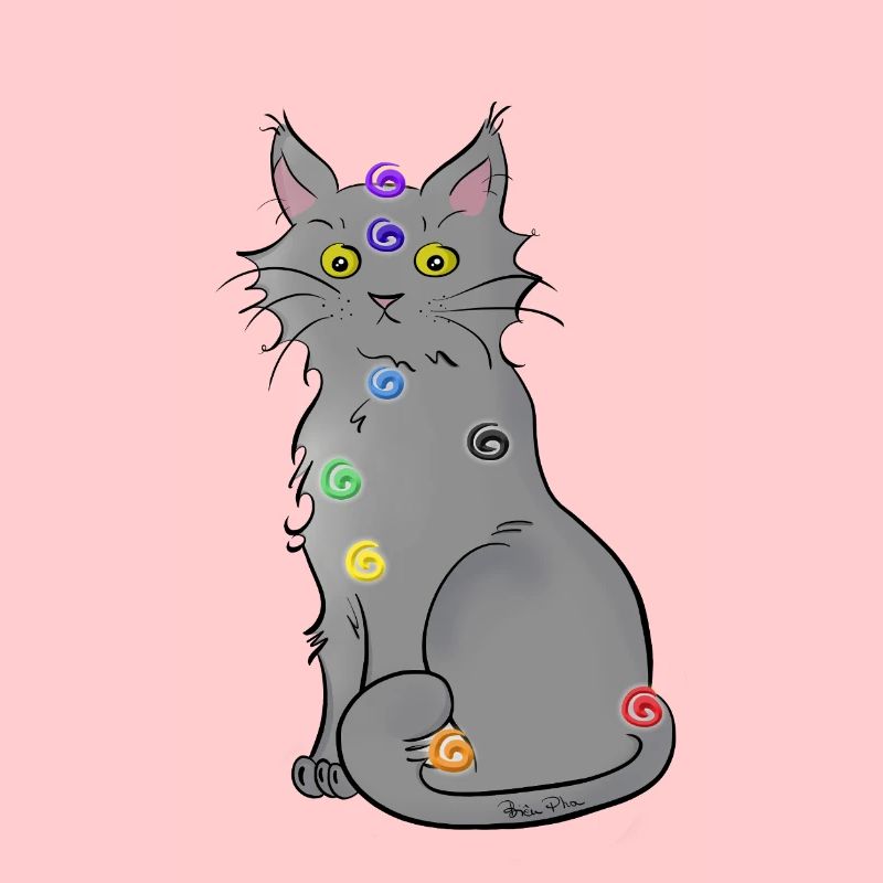 Chat-kra