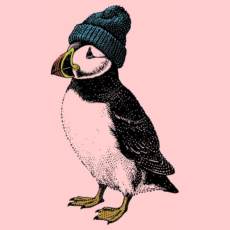 Winter Puffin