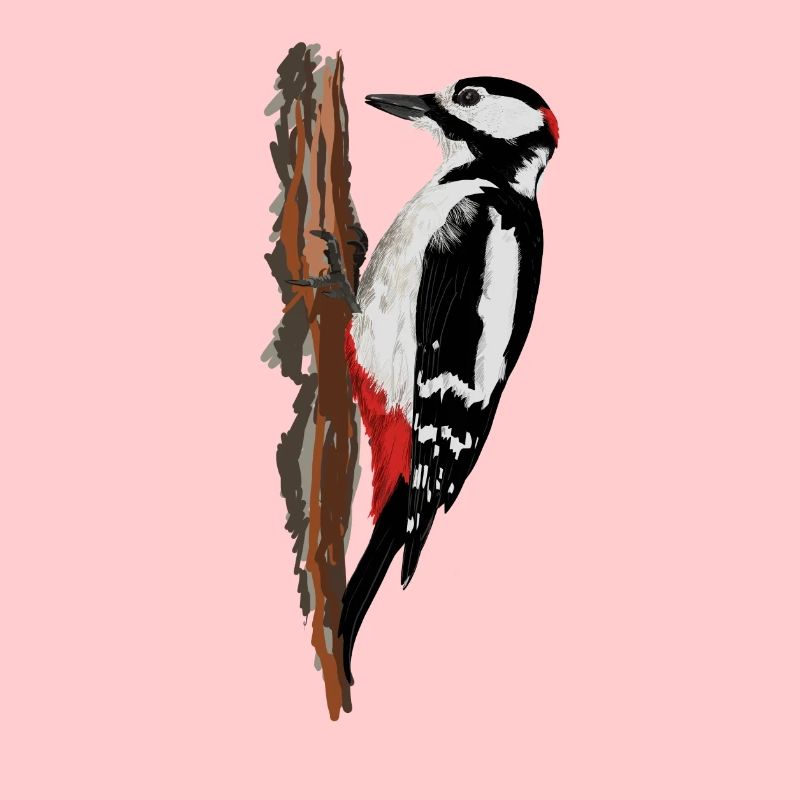 Woodpecker