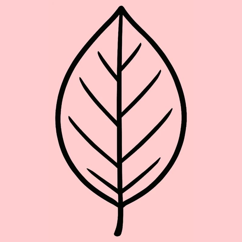 Conception minimaliste Leaf