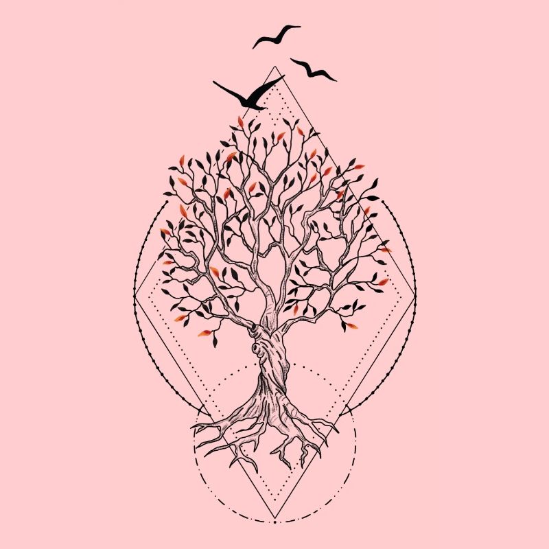 Coucher de soleil feuillu