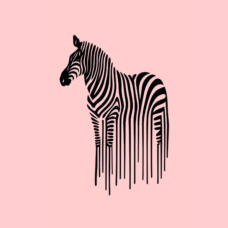 Zebra line art on black and white