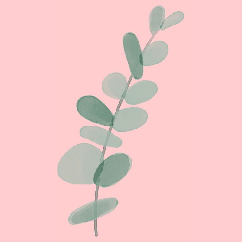 Eucalyptus