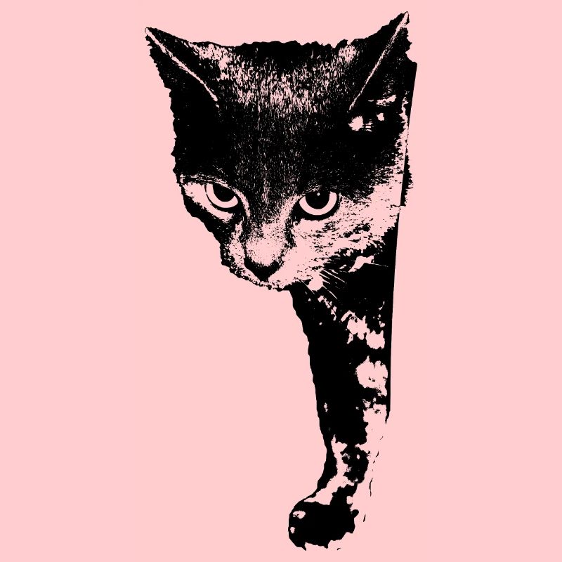Chat Chat Chat Chat Chemise Cadeau