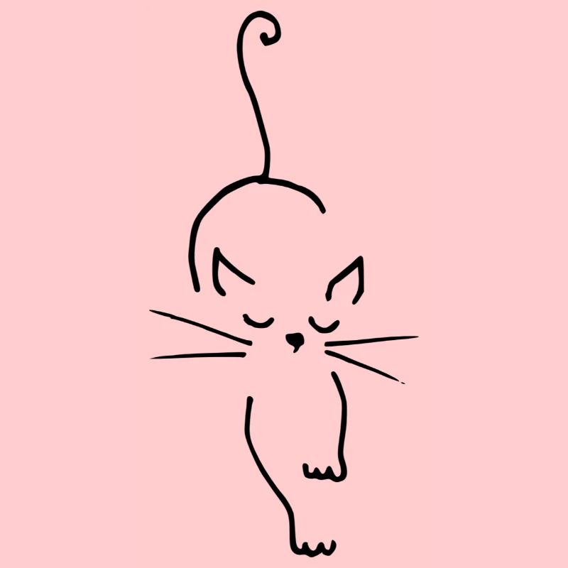 Katze