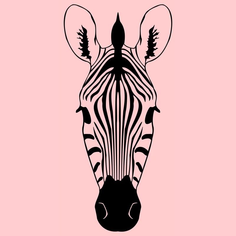 Zebra Illustration
