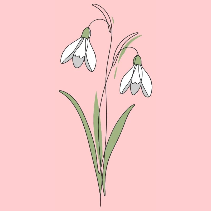 Snowdrop Line Art Illustration