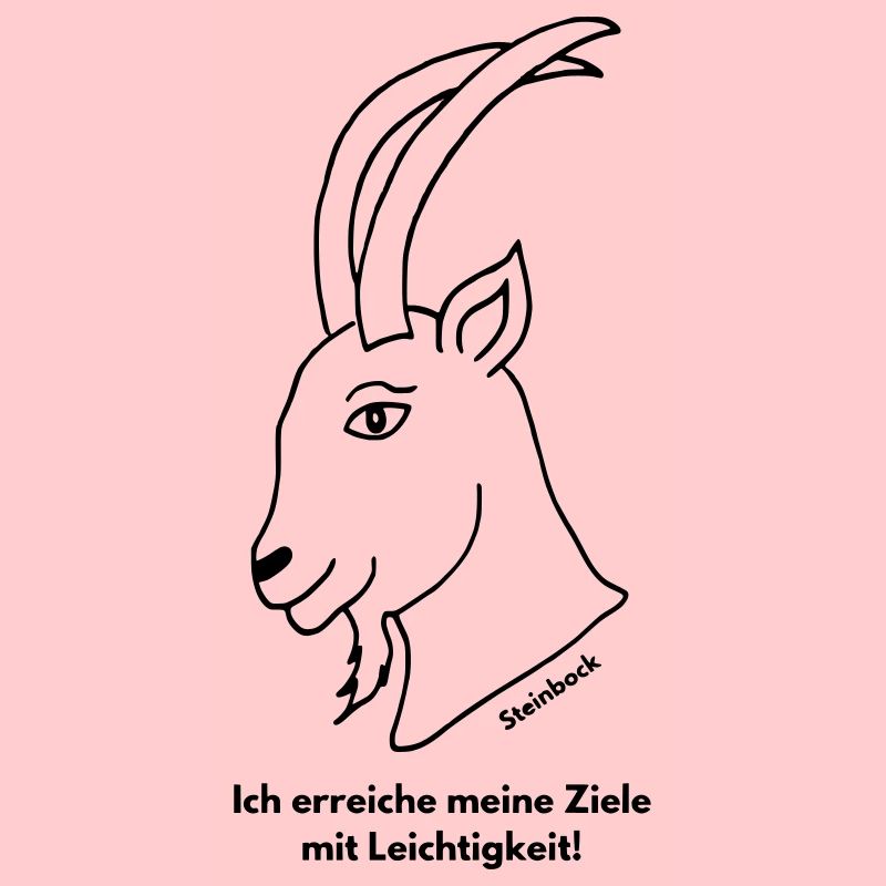 Sternzeichen Steinbock