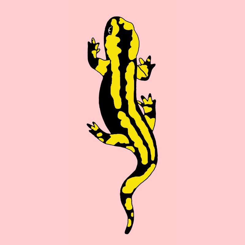 Salamandre