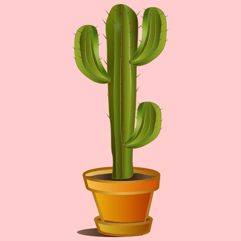 Grand cactus vert dans un pot de fleurs