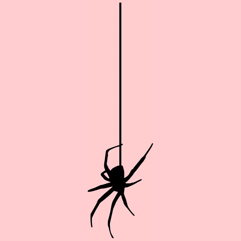 Spider on a thread