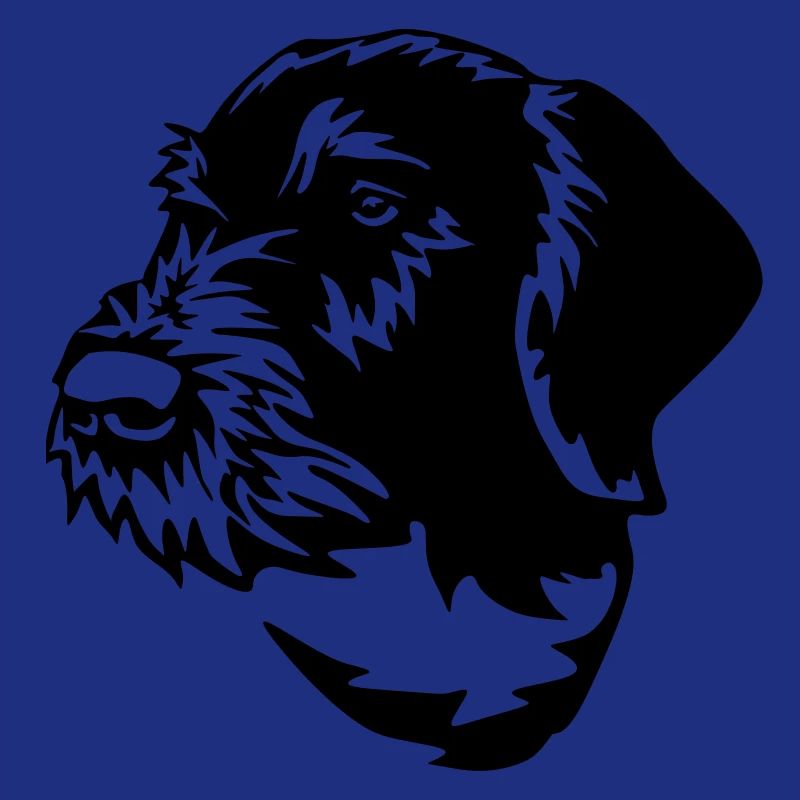 German Wirehaired Pointer