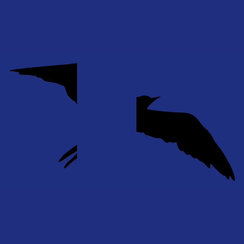 Vogel, Schwalbe