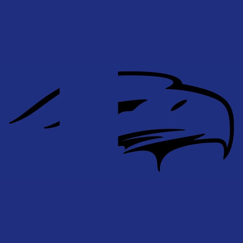 Eagle eye - Vectorart gift