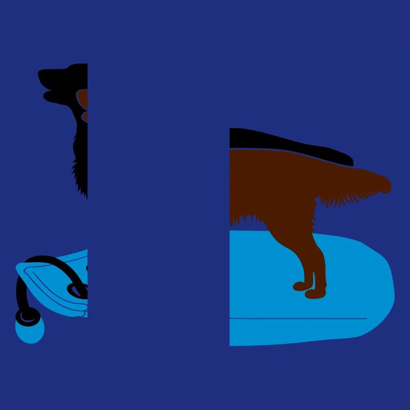 2 Flat Coated Retriever auf Dummy