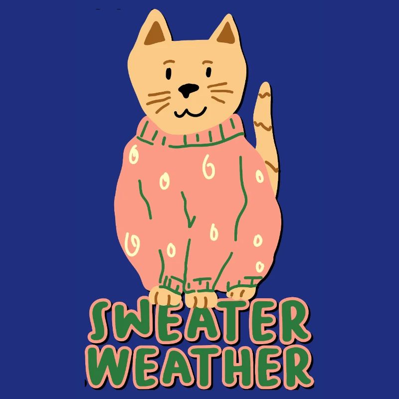 Météo des pulls