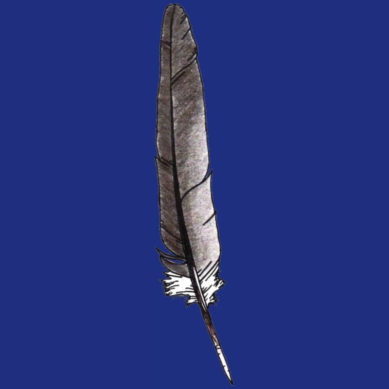 Feder Grau Handgezeichnet (Taube)