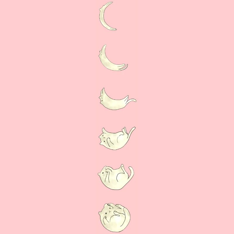 Chat de la lune