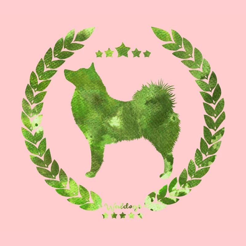 Spitz finlandais vert d'armée