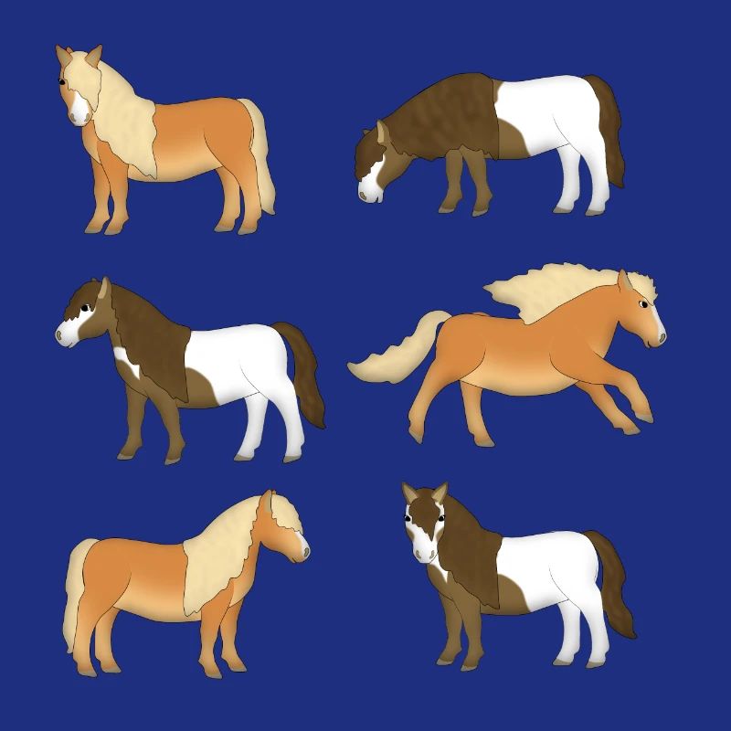 Shetland Pony Selection