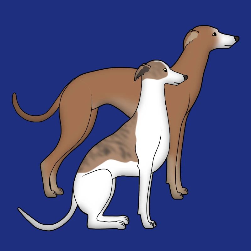 Two whippets