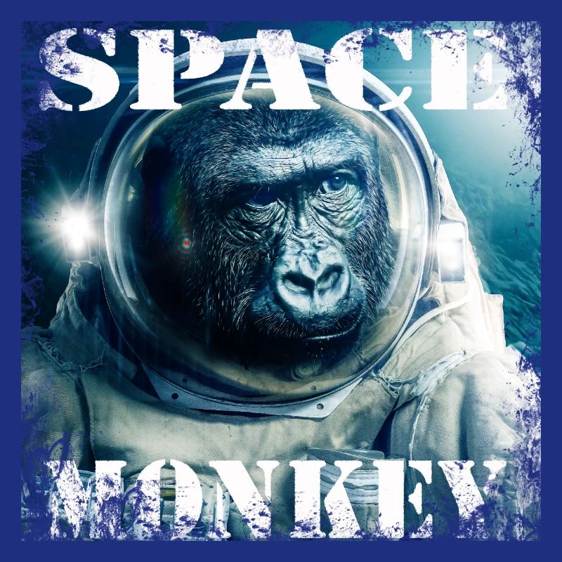 Singe de l'espace